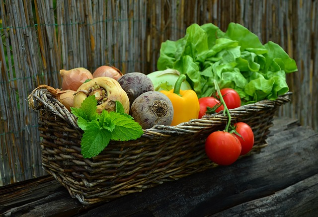 Lecker, bunt und gesund: Jetzt ist Erntezeit für ganz viel regionales Gemüse