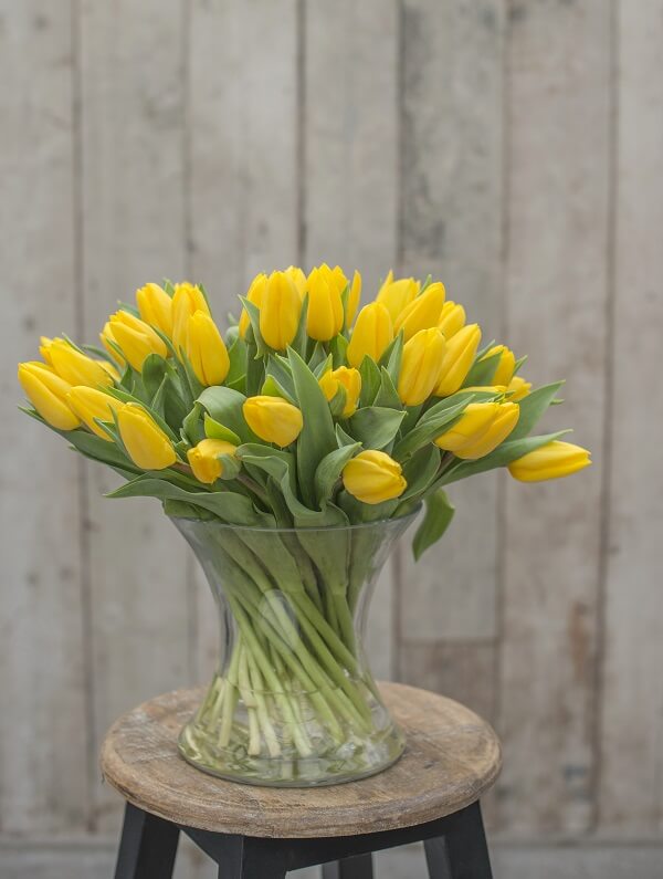 So hat man lange Freude am Frühlingsstrauß: Wissenswertes und Tipps rund um die Tulpe; Bild: Tulpenzeit