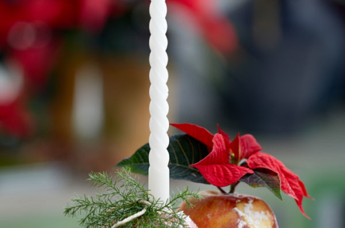 Dekoration mit dem Weihnachtsstern: Apfel als Vase & Kerzenständer