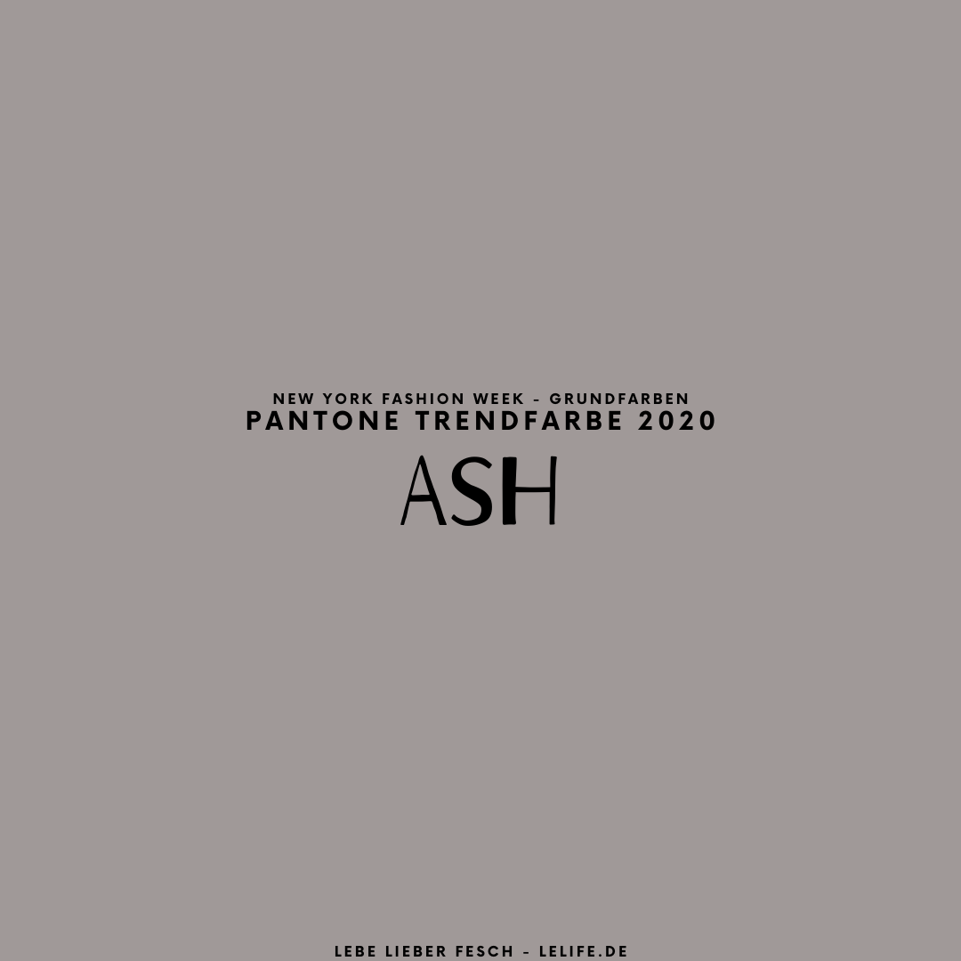 Farbpalette Frühjahr/Sommer New Yorker Fashion Week 2020 Ash Grundfarbe New York Pantone Trendfarbe 2020