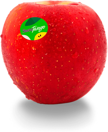 SweeTango® – Der ganze Sommer in einem Apfel BVEO Obst am Bodensee