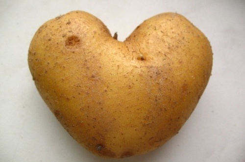 Kartoffeln oder Süßkartoffeln – was ist gesünder?