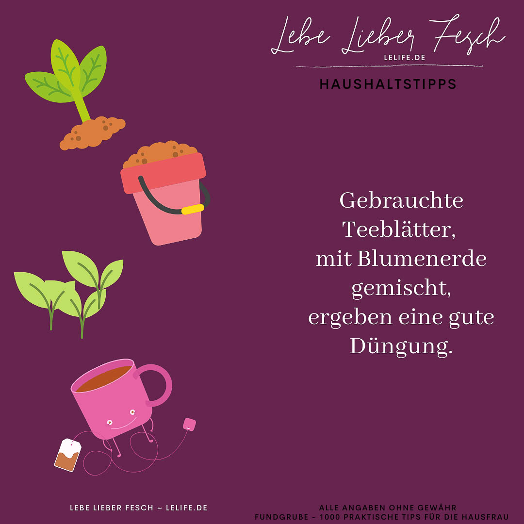 Haushaltstipps - Tee Als Dünger - Lebe Lieber Fesch Haushaltstipps - Tee Als Dünger - Lebe Lieber Fesch