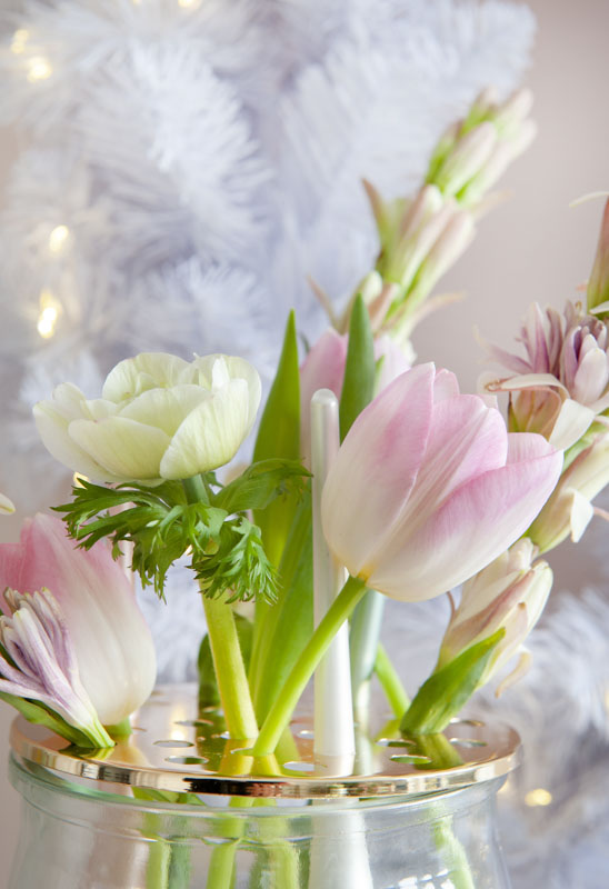 Have yourself a merry little Xmas: Frische Tulpen zum Fest