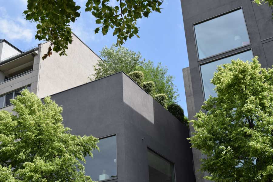 Der eigene Dachgarten: Multifunktionale Oase in der Stadt Begrünte Dachflächen als Rückszugsorte