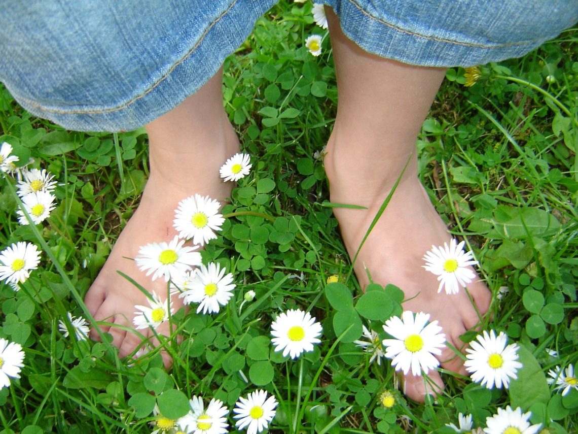 daisy children s feet meadow spring 319695