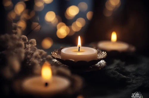 Duft im Alltag – Wie Düfte Stimmung, Räume und Wohlbefinden beeinflussen