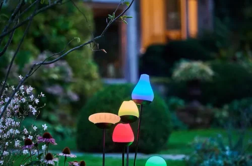 Wenn Licht den Abend mit Stimmung verändert Lebe Lieber Fesch Lichtdeko Krinner Flowers Tulip Sunny Pompom Rosy - Wenn Licht den Abend mit Stimmung verändert