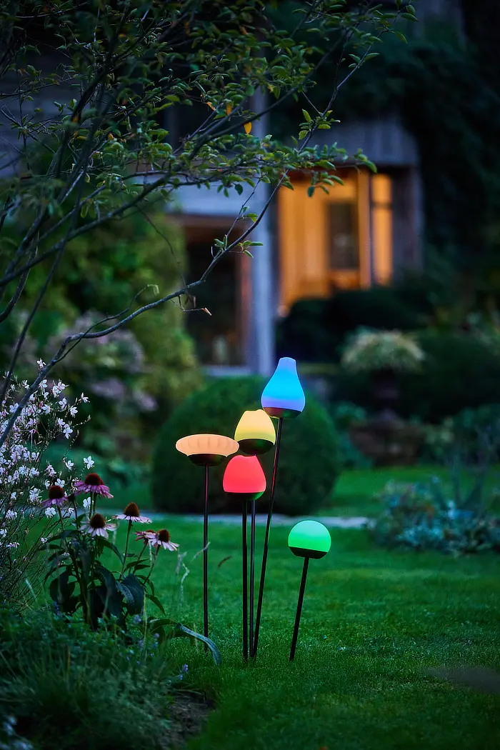 Lichtdeko Krinner Flowers Tulip Sunny Pompom Rosy - Wenn Licht den Abend mit Stimmung verändert